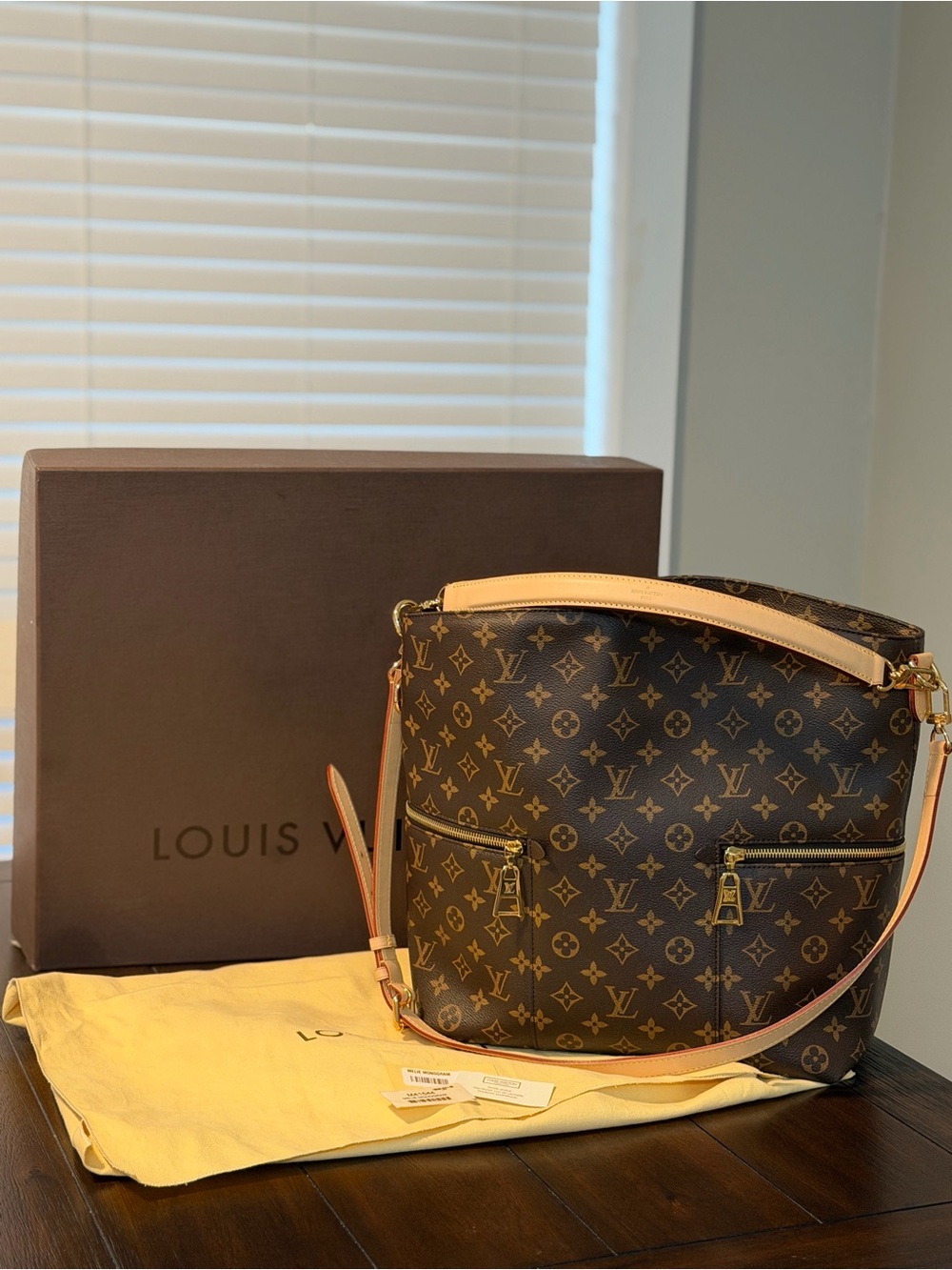 Louis Vuitton Melie Monogram bag - Retired Bag, Rare Find